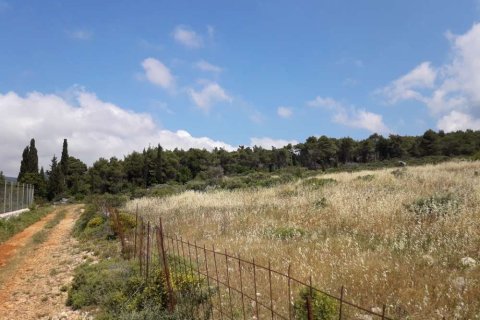 Land in Zakynthos, Greece No. 24718 15