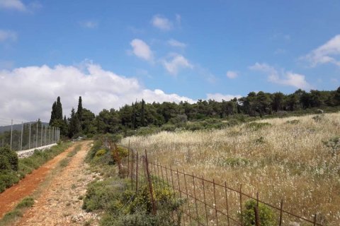 Land in Zakynthos, Greece No. 24718 16