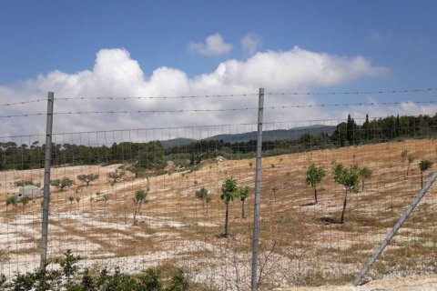 Land in Zakynthos, Greece No. 24718 17