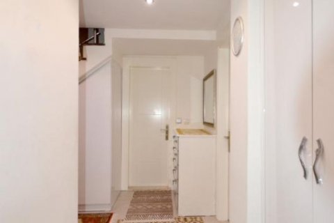 3+1 Penthouse à Alanya, Turkey No. 12422 14