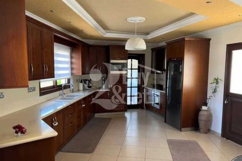 4 bedrooms Villa in Foinikaria, Cyprus No. 65418 4