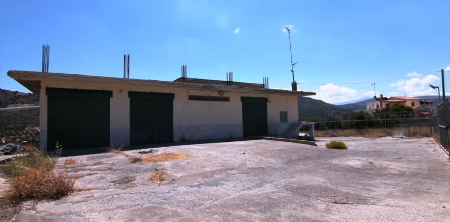 300m² Commercial property à Heraklion, Greece No. 49391