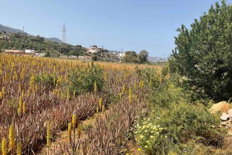 7000m² Land en Heraklion, Greece No. 55914 6