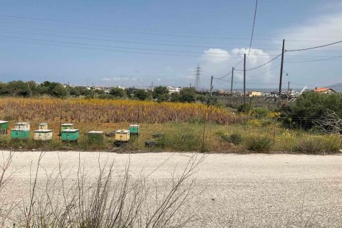 7000m² Land in Heraklion, Greece No. 55914 3