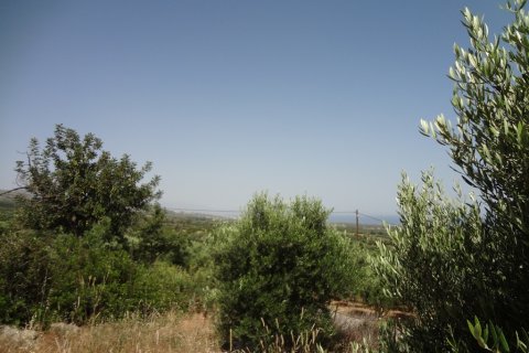 7250m² Land en Rethymno, Greece No. 60163 5