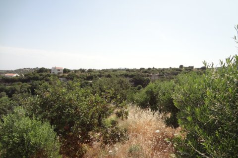 7250m² Land à Rethymno, Greece No. 60163 4