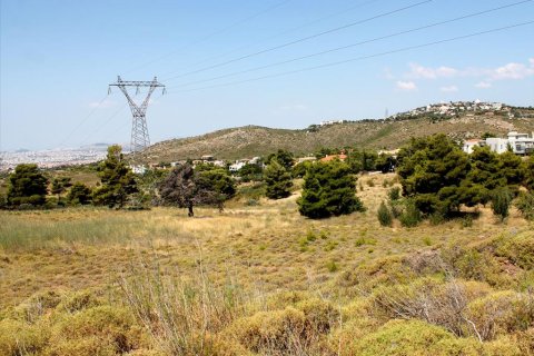 22000m² Land en Penteli, Greece No. 60162 8