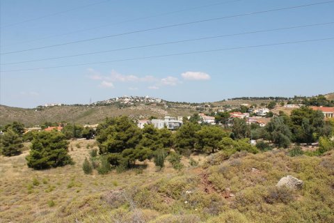 22000m² Land en Penteli, Greece No. 60162 2