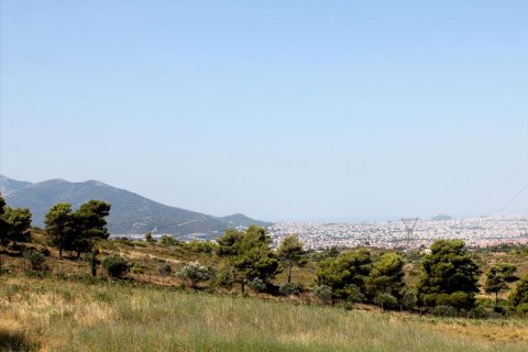 22000m² Land in Penteli, Greece No. 60162 1