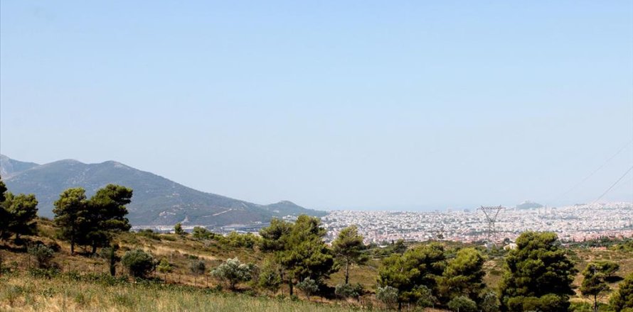 22000m² Land à Penteli, Greece No. 60162