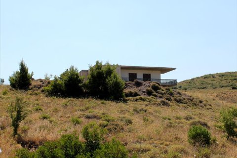 22000m² Land en Penteli, Greece No. 60162 3