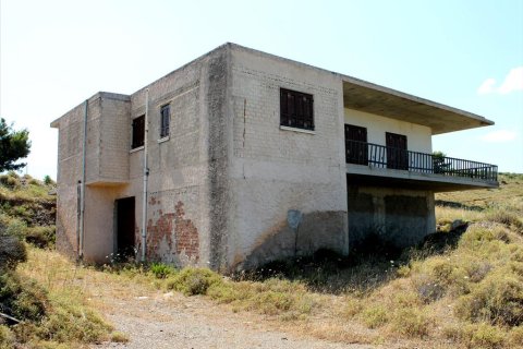 22000m² Land à Penteli, Greece No. 60162 4