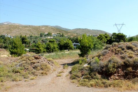 22000m² Land en Penteli, Greece No. 60162 6