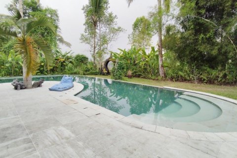 6 dormitorios Villa en Ubud, Indonesia No. 22982 7