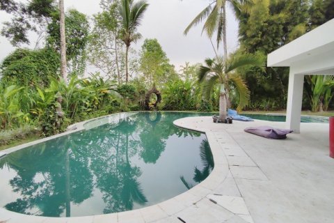 6 dormitorios Villa en Ubud, Indonesia No. 22982 5