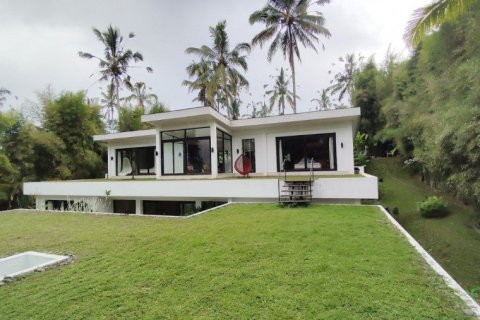 6 bedrooms Villa in Ubud, Indonesia No. 22982 23