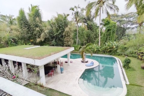 6 dormitorios Villa en Ubud, Indonesia No. 22982 20