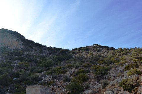 12500m² Land à Agios Nikolaos, Greece No. 57864 5