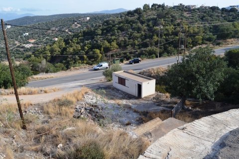 12500m² Land à Agios Nikolaos, Greece No. 57864 4