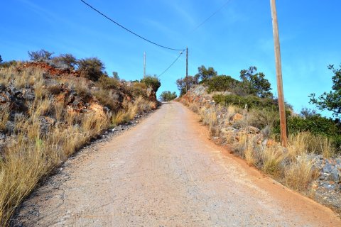 12500m² Land à Agios Nikolaos, Greece No. 57864 2