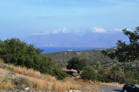 12500m² Land à Agios Nikolaos, Greece No. 57864 1