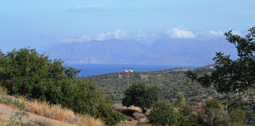 12500m² Land à Agios Nikolaos, Greece No. 57864