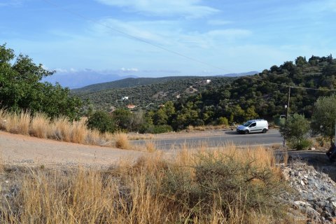 12500m² Land à Agios Nikolaos, Greece No. 57864 3