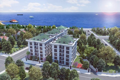 2+1 Apartment en Istanbul, Turkey No. 15855 1