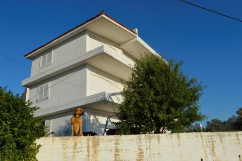 6 bedrooms Villa in Athens, Greece No. 49954 1