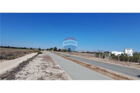 3936m² Land en Kiti, Cyprus No. 75733 3