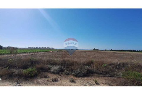 3936m² Land en Kiti, Cyprus No. 75733 2