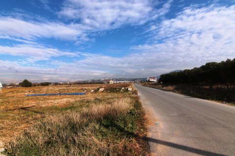 6938m² Land en Thermi, Greece No. 58939 8