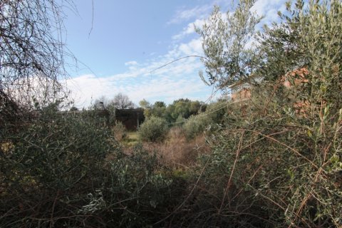 2000m² Land in Thermi, Greece No. 58940 2