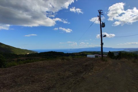 100000m² Land à Chalkidiki, Greece No. 56440 7