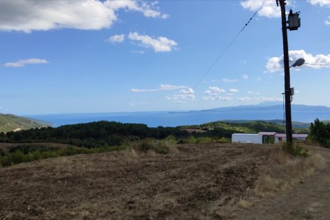 100000m² Land in Chalkidiki, Greece No. 56440 8