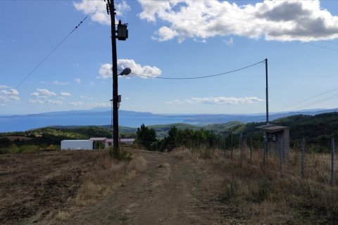 100000m² Land in Chalkidiki, Greece No. 56440 9