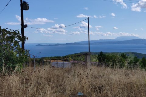 100000m² Land à Chalkidiki, Greece No. 56440 5