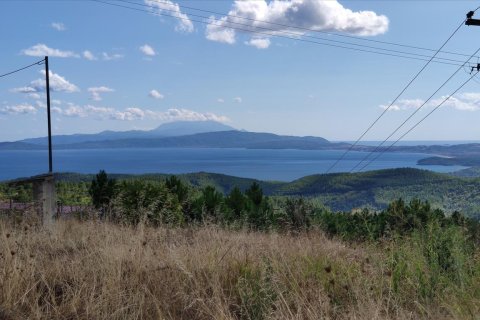 100000m² Land in Chalkidiki, Greece No. 56440 4