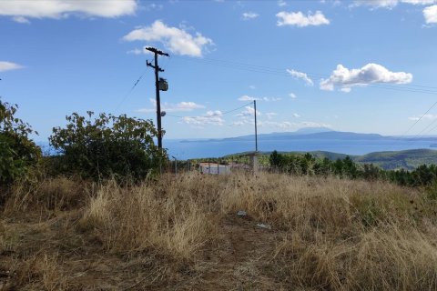 100000m² Land à Chalkidiki, Greece No. 56440 6