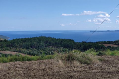 100000m² Land in Chalkidiki, Greece No. 56440 11