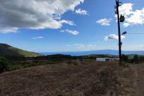 100000m² Land in Chalkidiki, Greece No. 56440 10