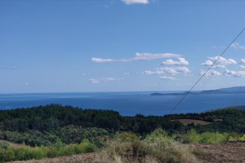 100000m² Land in Chalkidiki, Greece No. 56440 2