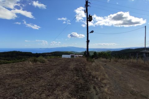 23000m² Land in Chalkidiki, Greece No. 56442 13