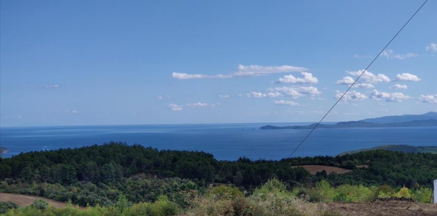 50000m² Land in Chalkidiki, Greece No. 56441