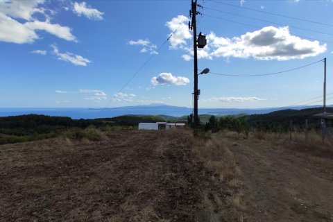 17000m² Land en Chalkidiki, Greece No. 56443 5