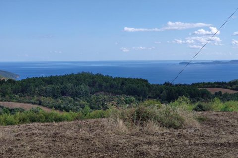 17000m² Land in Chalkidiki, Greece No. 56443 1