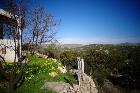 2 chambres House à Chios, Greece No. 56568 5