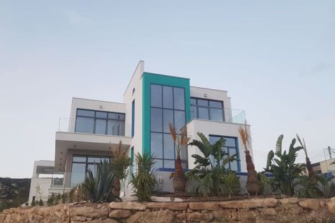 4 bedrooms Villa in Pegeia, Cyprus No. 36906 1