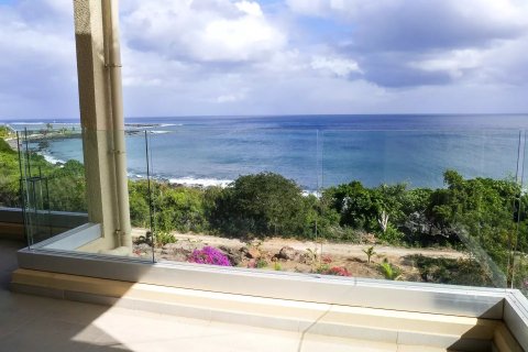 3 bedrooms Apartment in Flic-en-Flac, Mauritius No. 53417 10