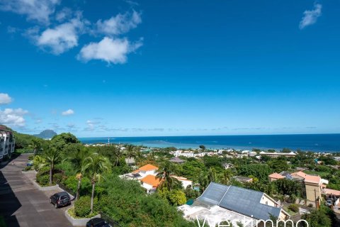 3 bedrooms Apartment in Petite Riviere, Mauritius No. 53411 26